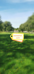 park, green field, nature, trees, sunlight,outdoor,  and landscape, calm