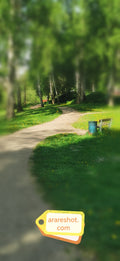 Forest Curve Path