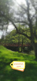 Red Park Bridge