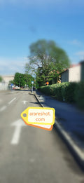 Quiet Suburban Street with Traffic Signs