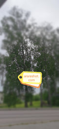 Birch Trees by Swedish Suburban Road