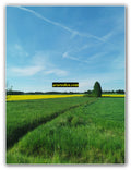 Green and Yellow Farmland Under Clear Sky