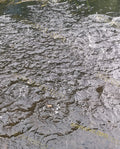 Surface of Bubbling Water with Ripples