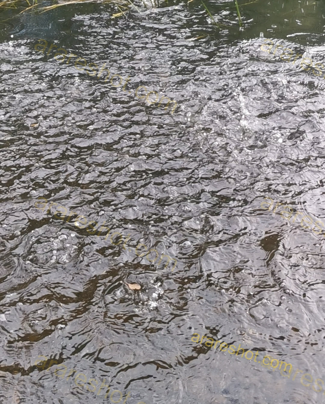 Surface of Bubbling Water with Ripples