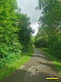 Rustic Red Bridge Over Lush Green Riverbank