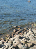 Rocky Shoreline with Clear Water