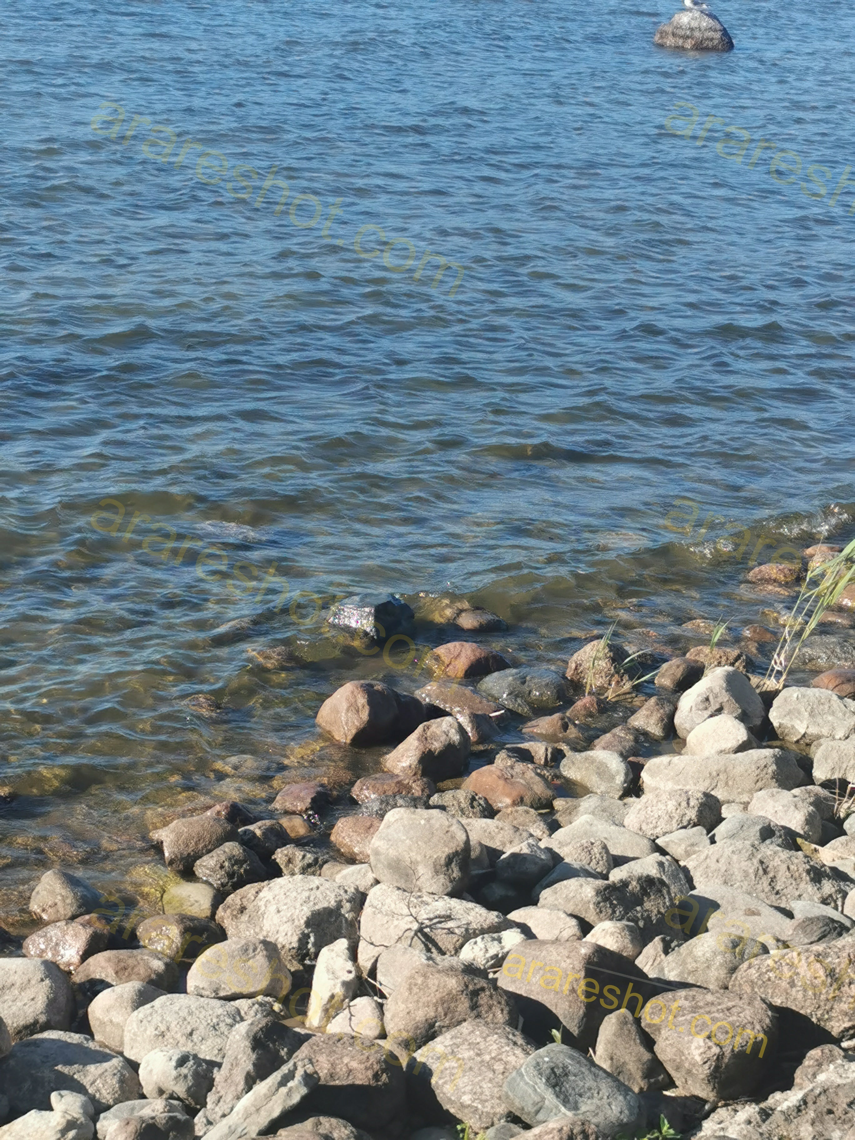 Rocky Shoreline with Clear Water