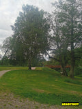 Natural Urban Park Landscape with Soccer Fields