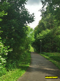 Tranquil Forest Pathway with Wooden Bridge