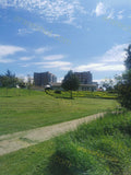 Green Park with Trees and Buildings in Background