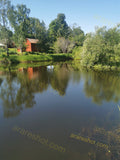 Pond with Trees and Red Shed