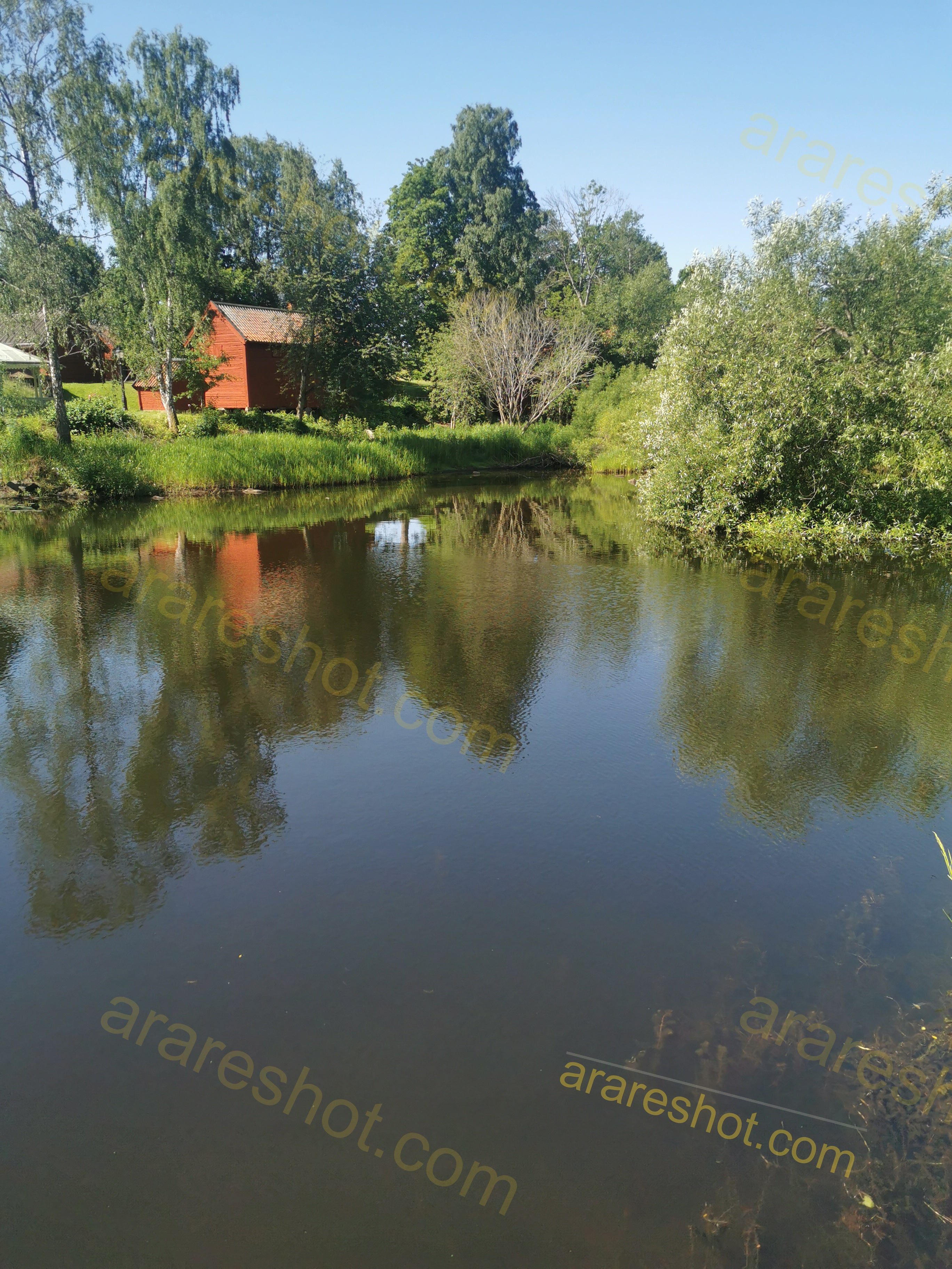 Pond with Trees and Red Shed