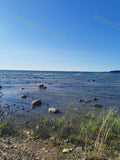 Rocky Shoreline with Grass and Clear Sky