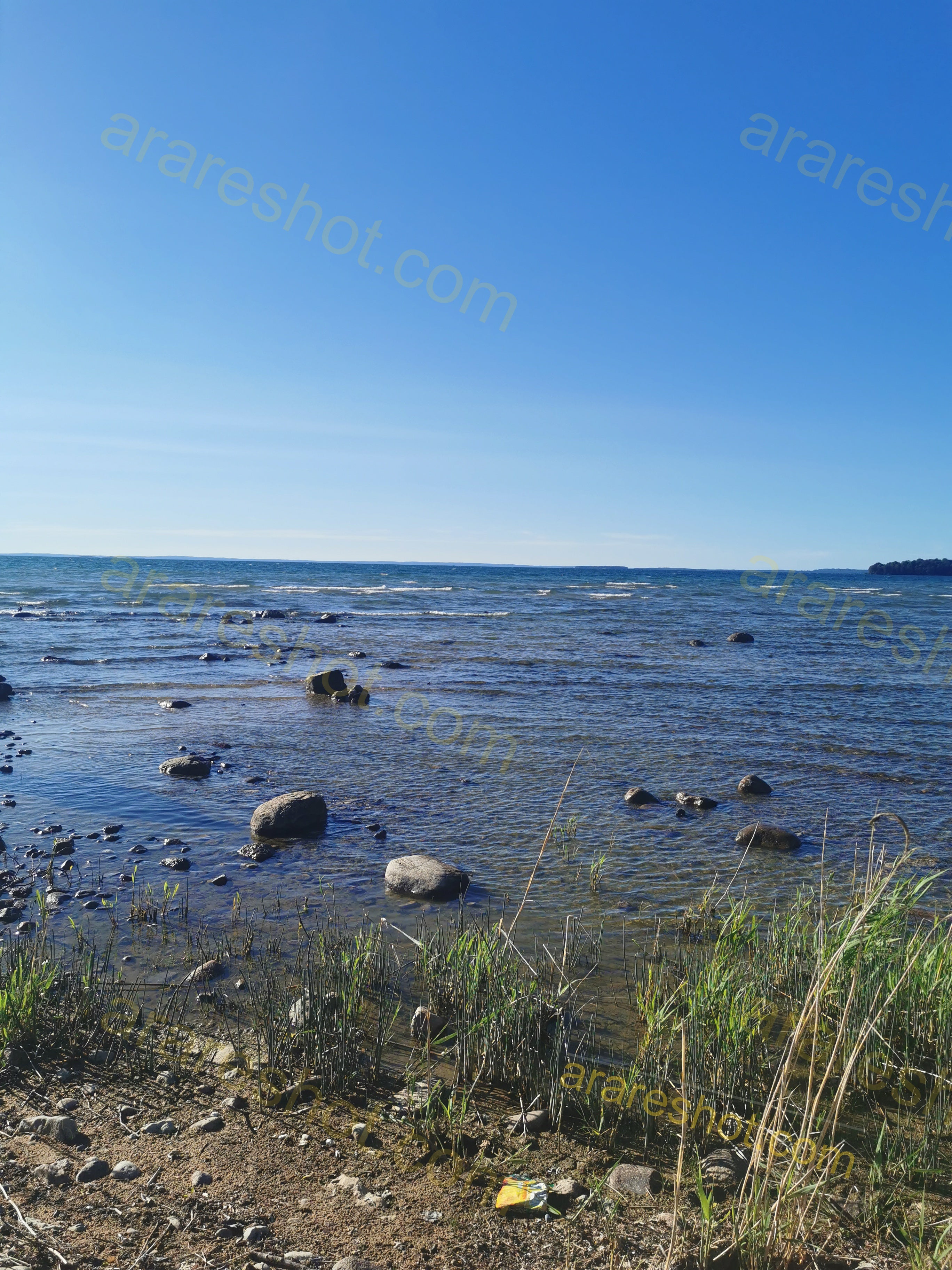 Rocky Shoreline with Grass and Clear Sky
