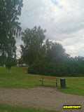 Lush Green Park Landscape with Majestic Oak Tree