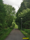 Serene Green Meadow with Tall Trees Under Overcast Sky