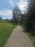 Gravel Park Path with Trees and Bench