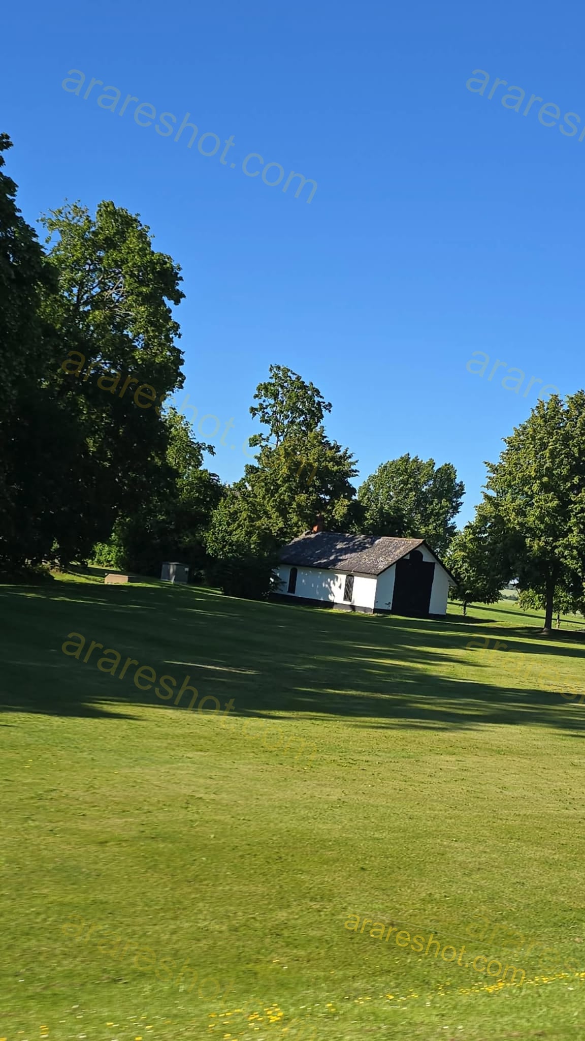 Small White House Surrounded by Trees and Grass