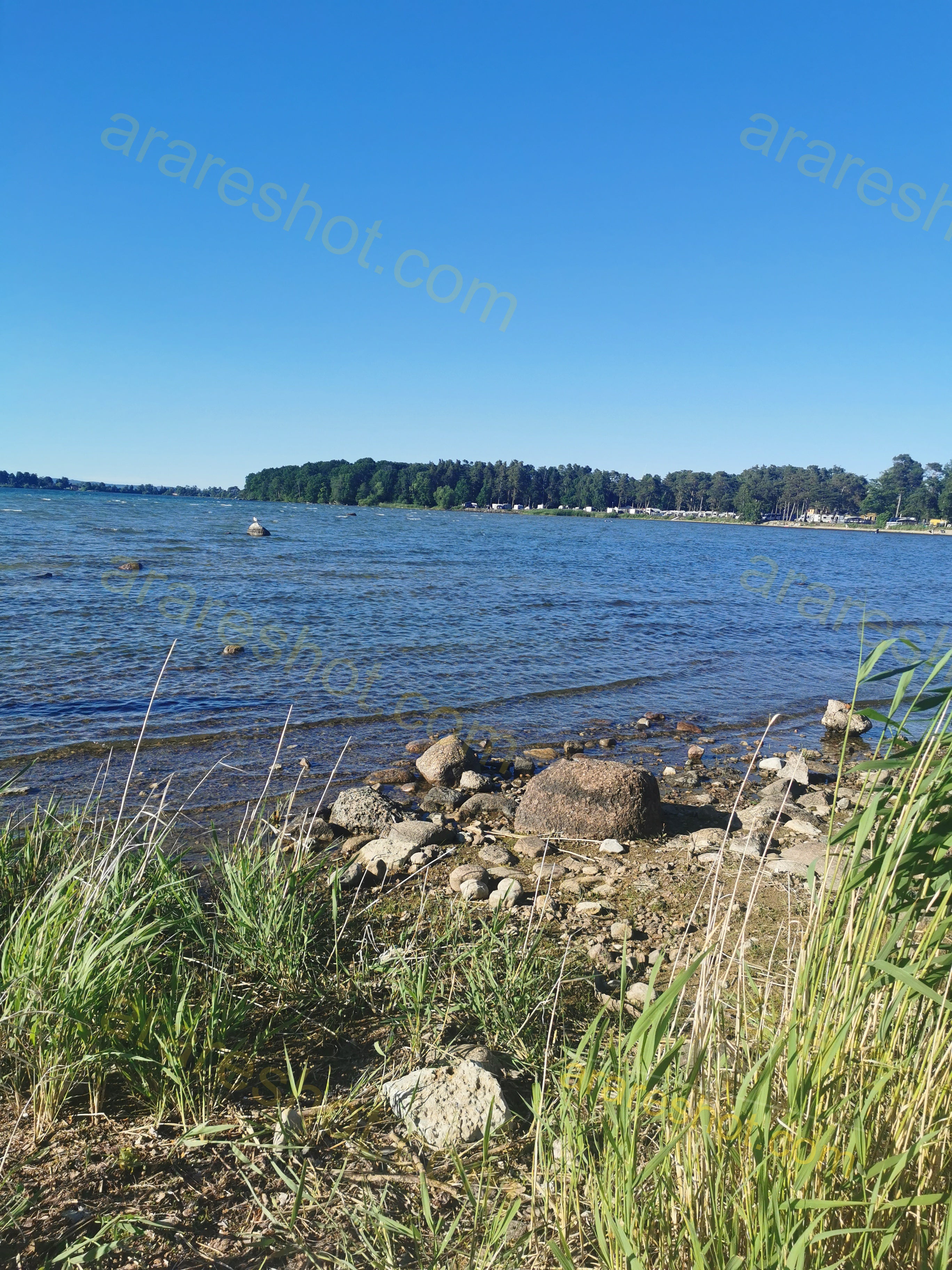 Lake Shore with Rocks and Grass