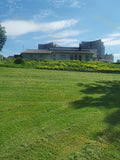 Green Lawn with Residential Buildings in Background