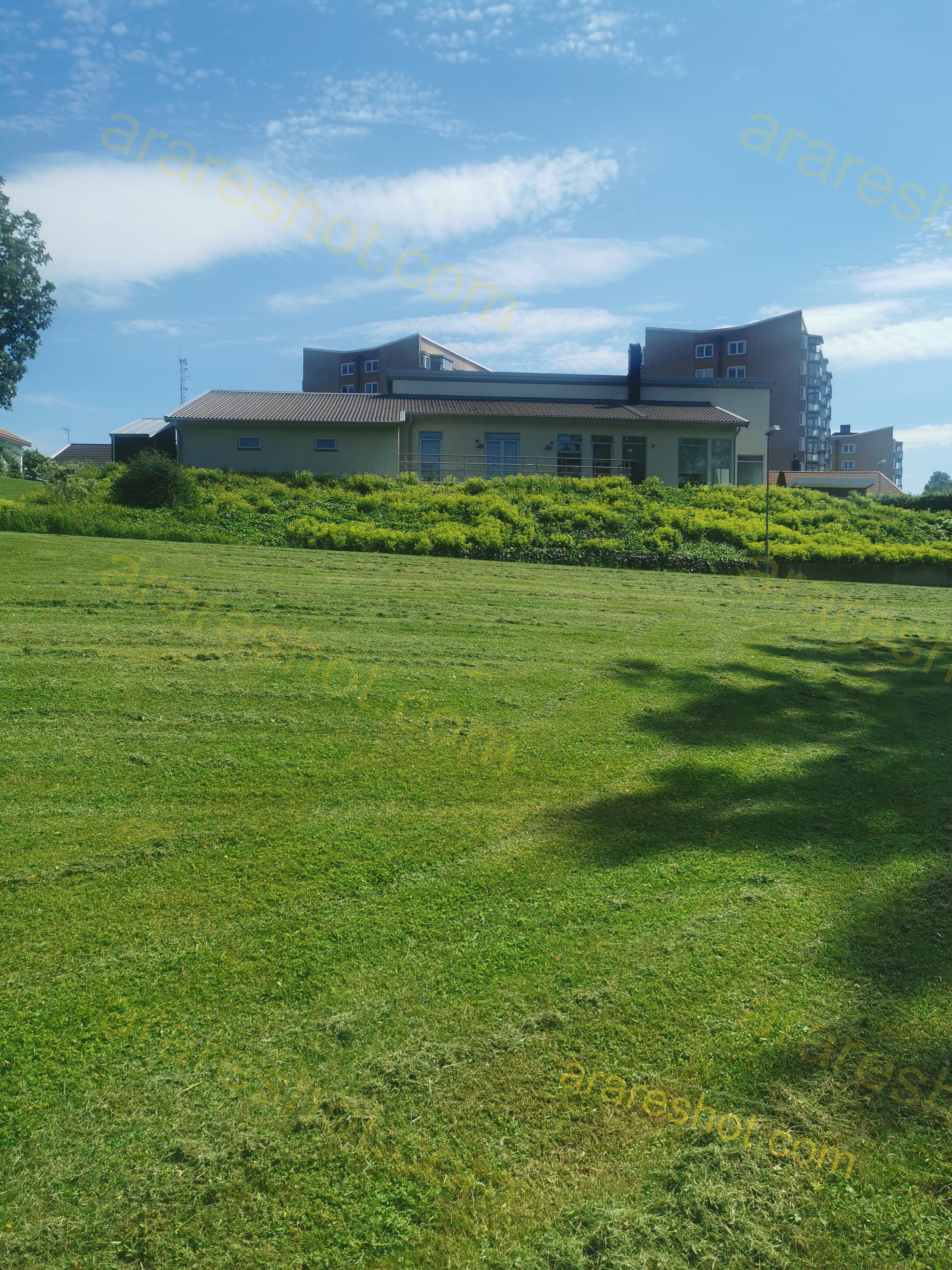 Green Lawn with Residential Buildings in Background
