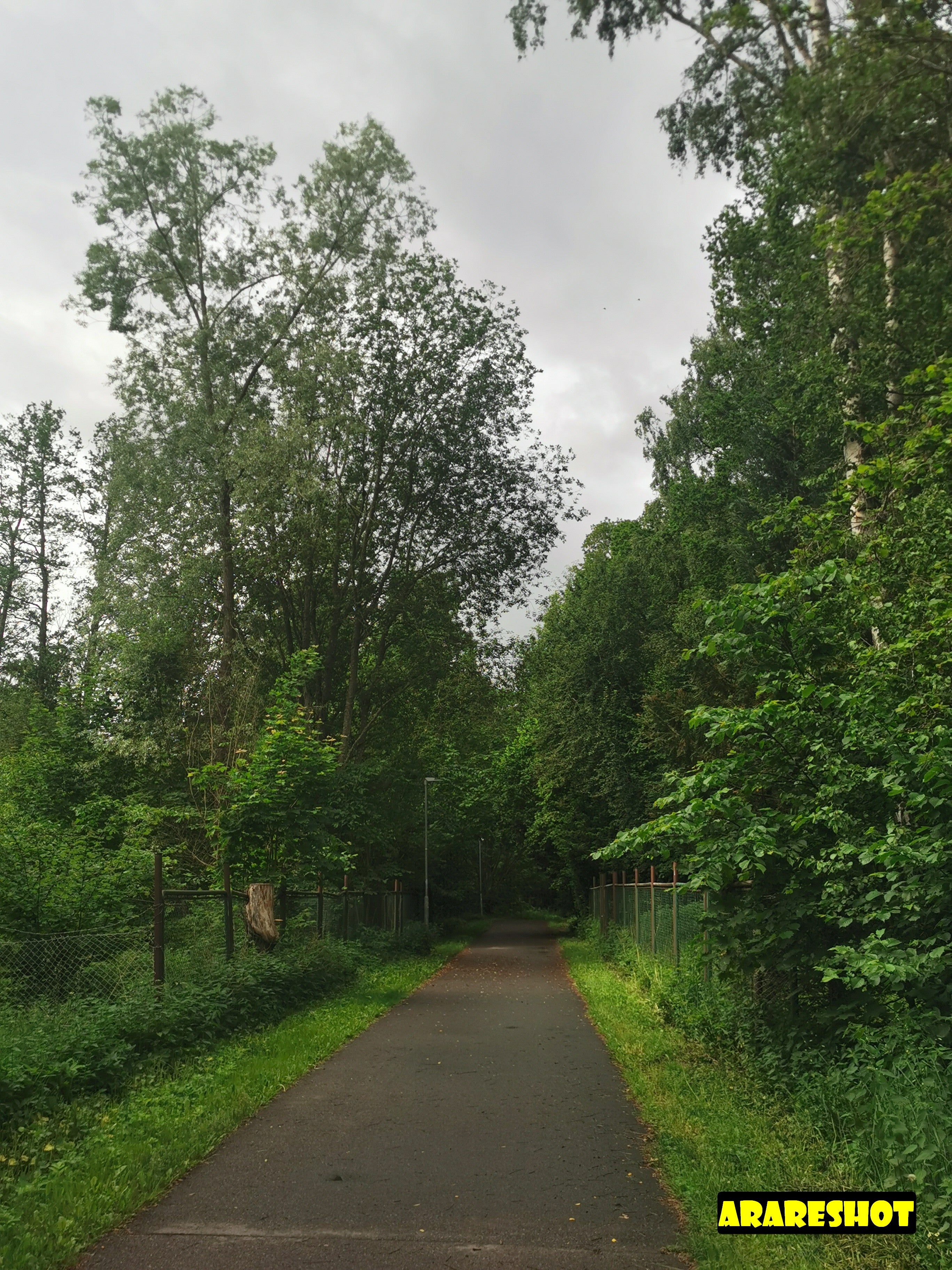 Serene Countryside Pathway on a Cloudy Day