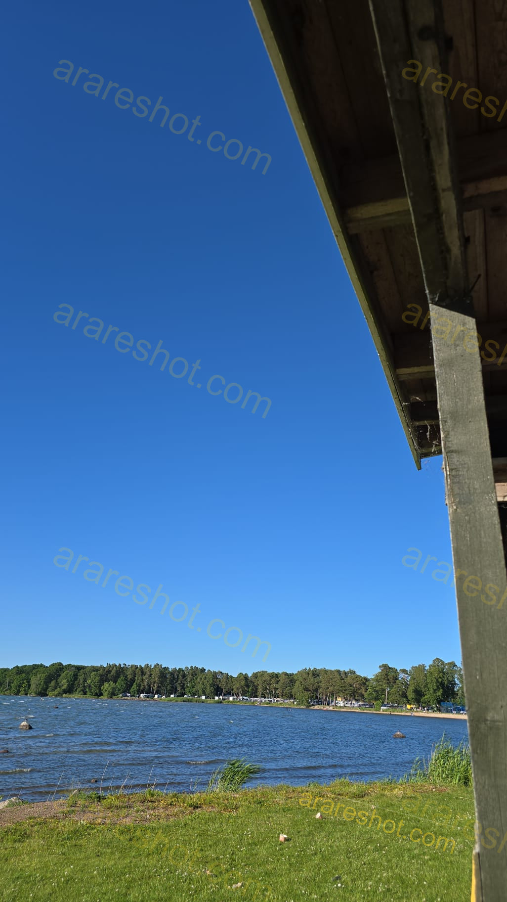 Lakeshore with Grass and Trees under Blue Sky