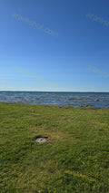Grassy Shoreline with Water and Blue Sky