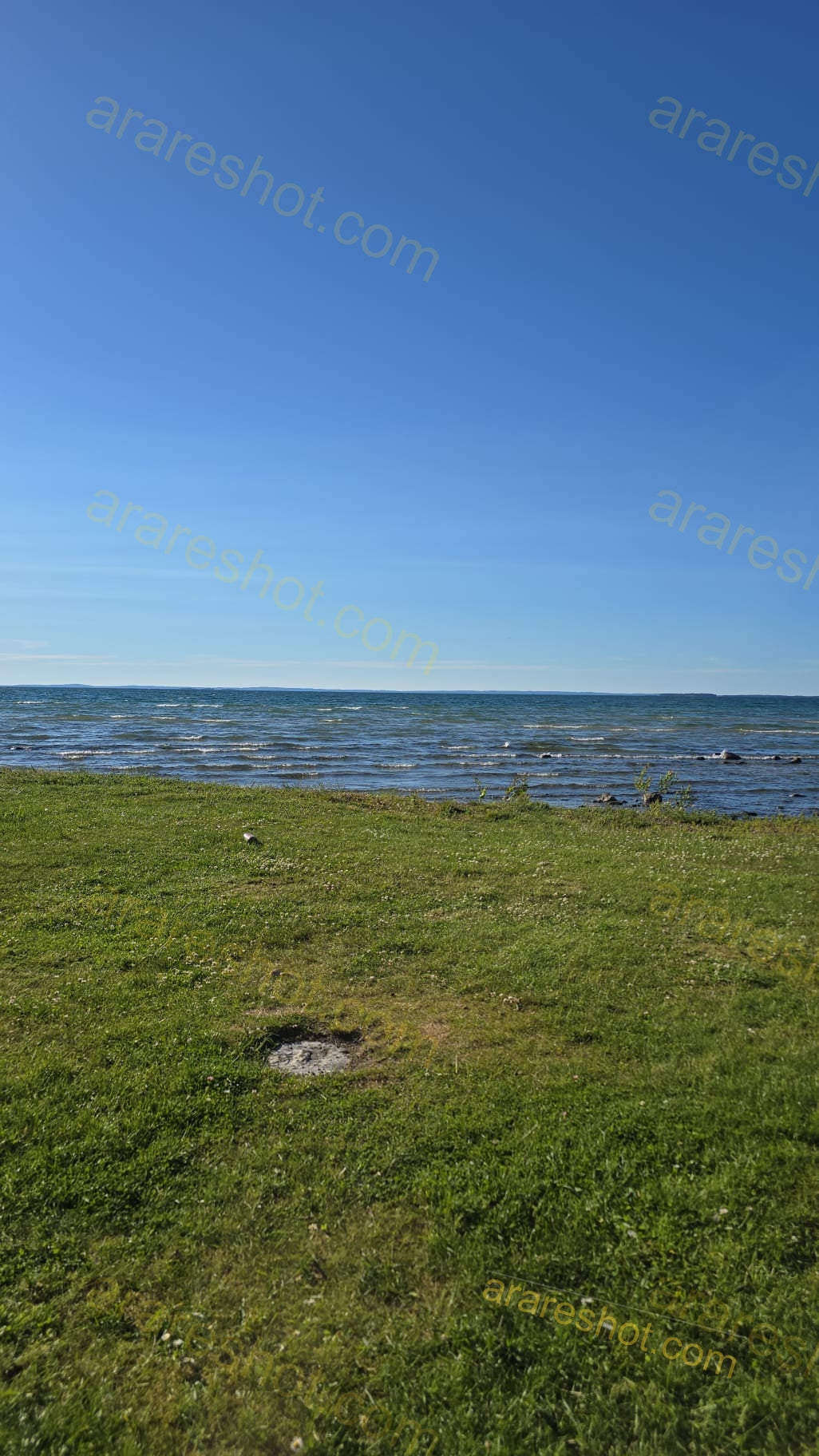 Grassy Shoreline with Water and Blue Sky