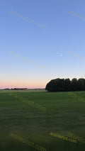 Green Field with Trees and Wind Turbines