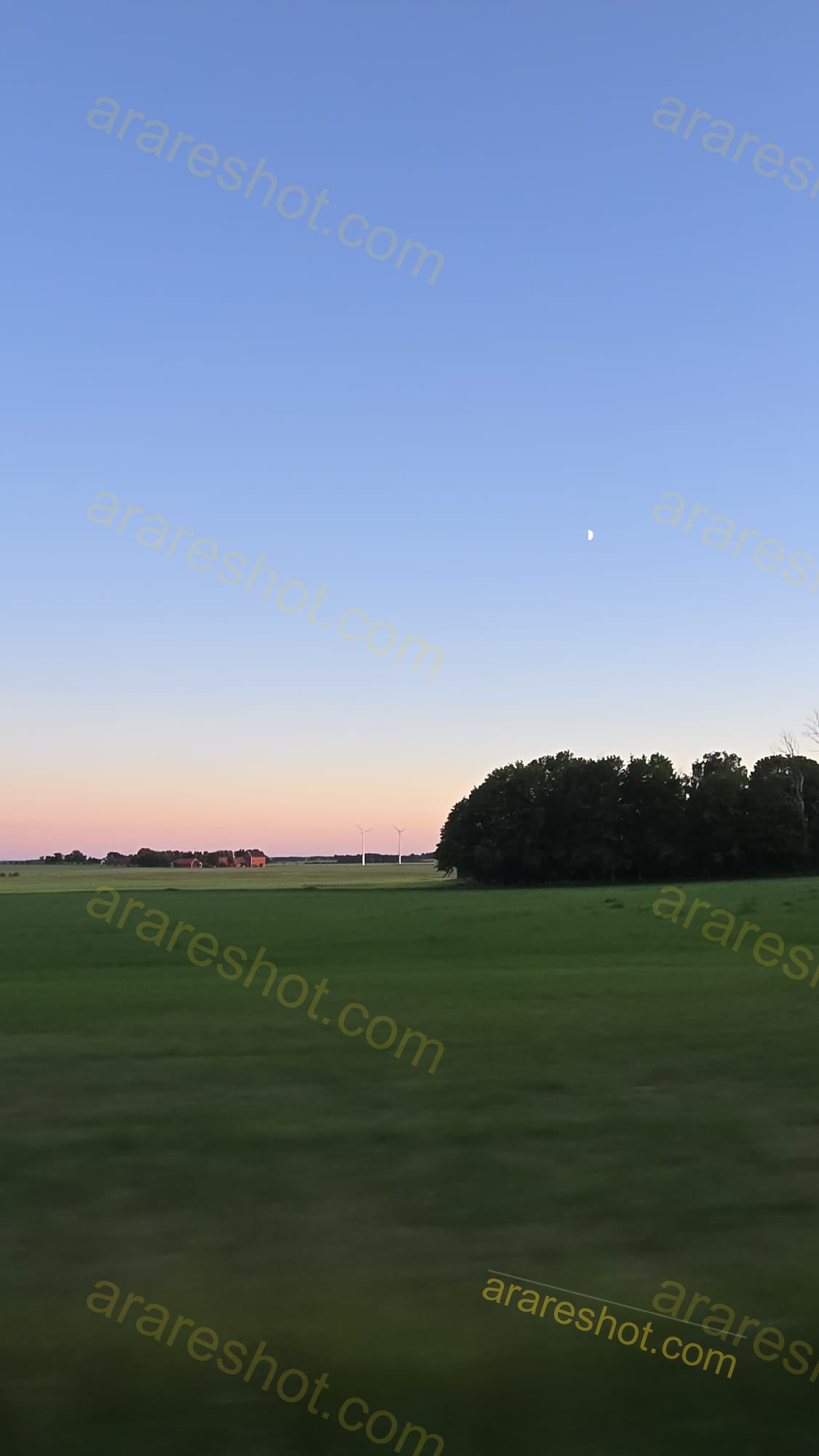 Green Field with Trees and Wind Turbines