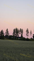 Field with Tall Trees and House in Background