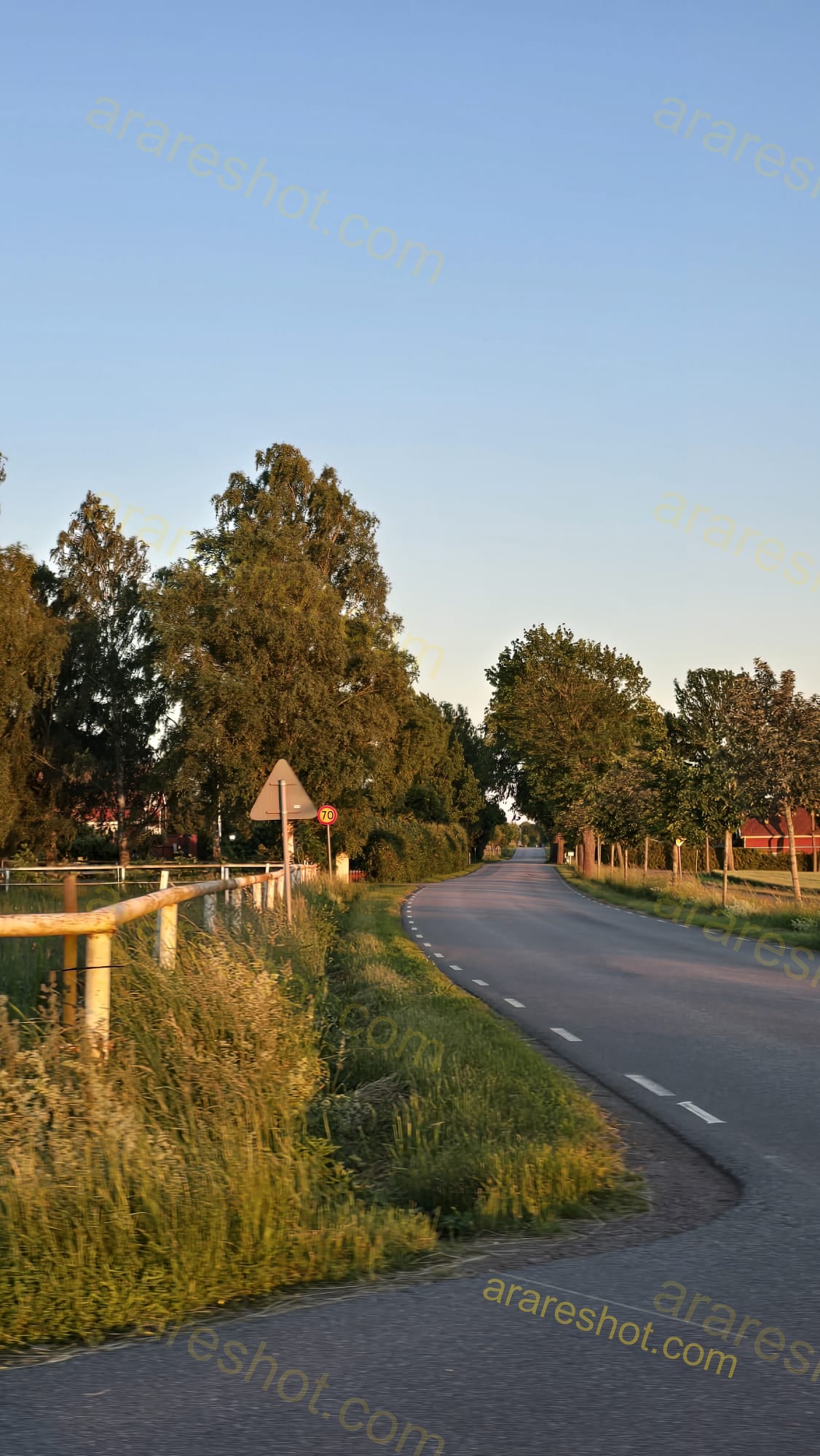 Country Road with Trees and Grass