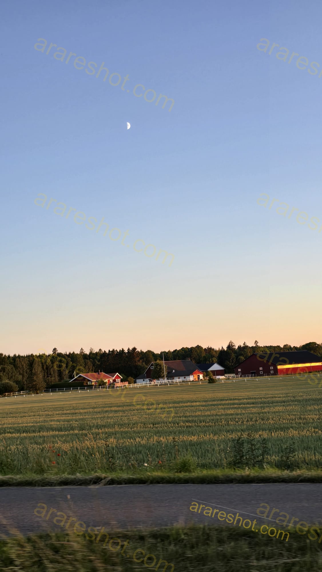 Rural Farmhouses with Green Fields and Moon in Sky