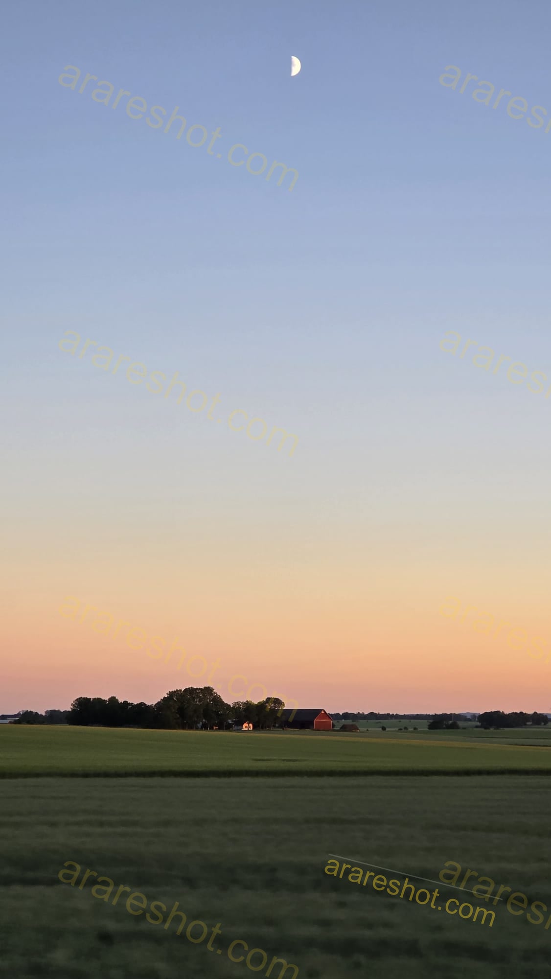 Farm Buildings and Trees with Moon in Sky