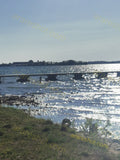 Lake Shore with Wooden Pier and Grass