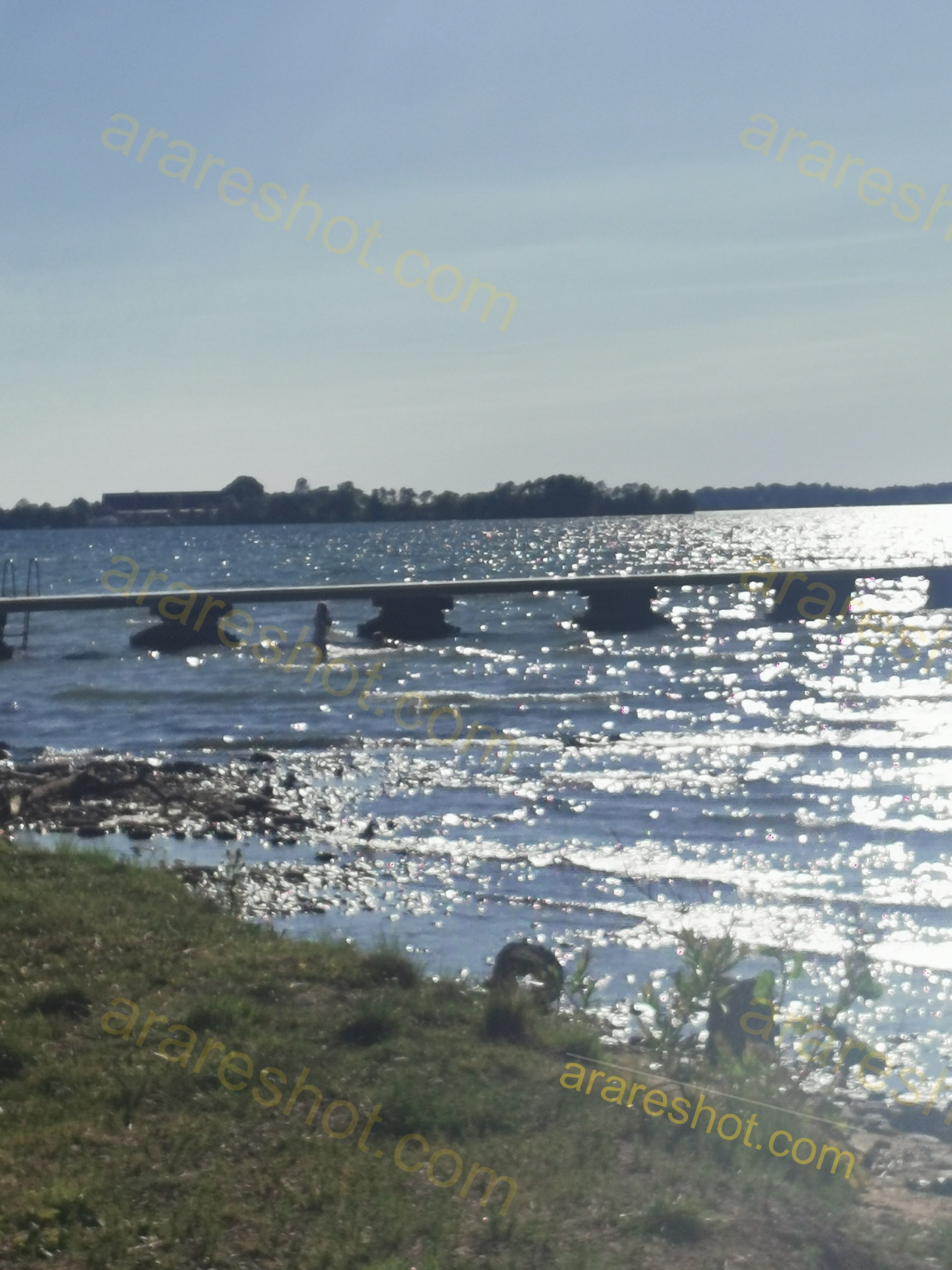 Lake Shore with Wooden Pier and Grass