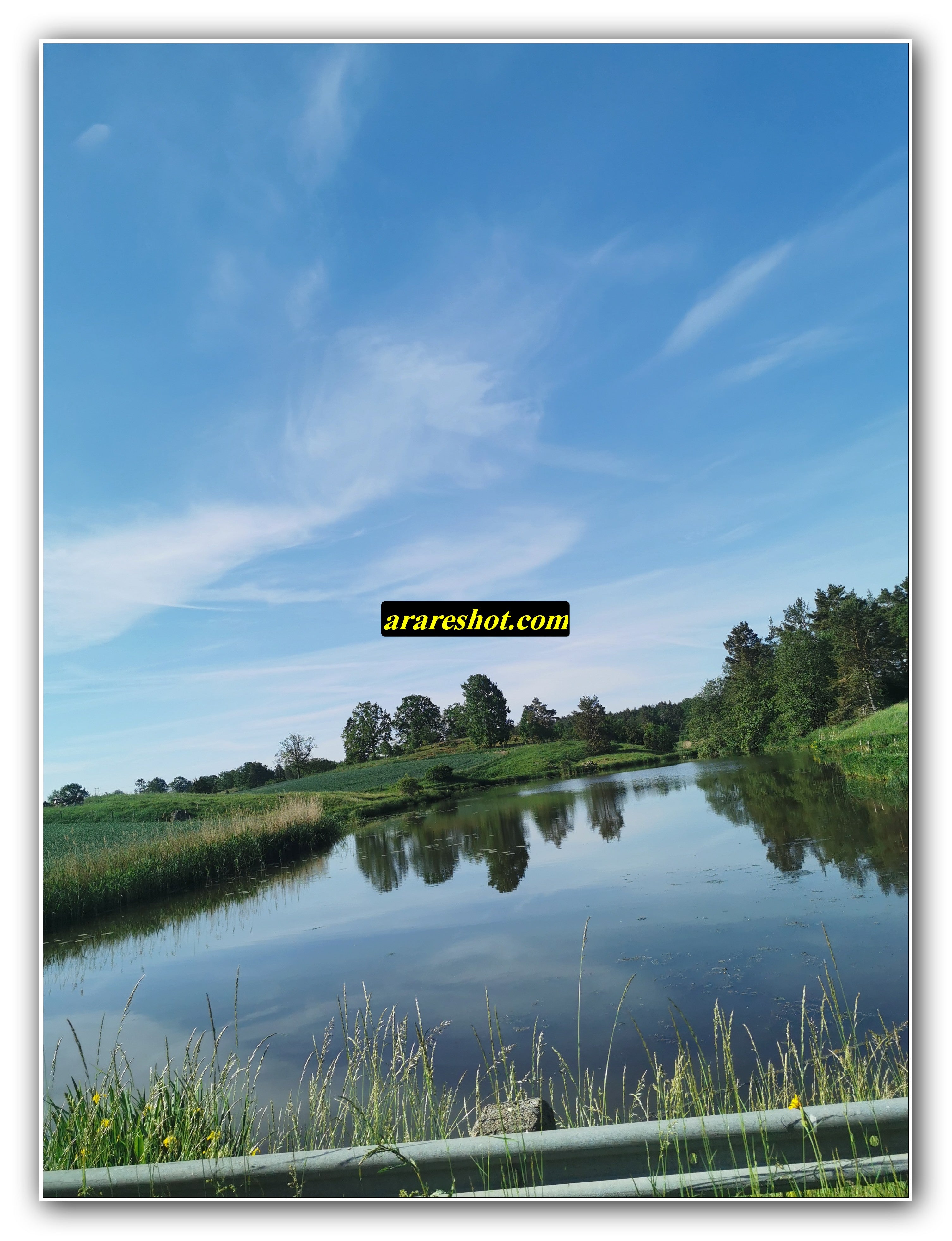 Calm Pond with Green Countryside
