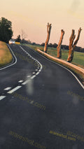 Curved Road with Trees and Guardrail