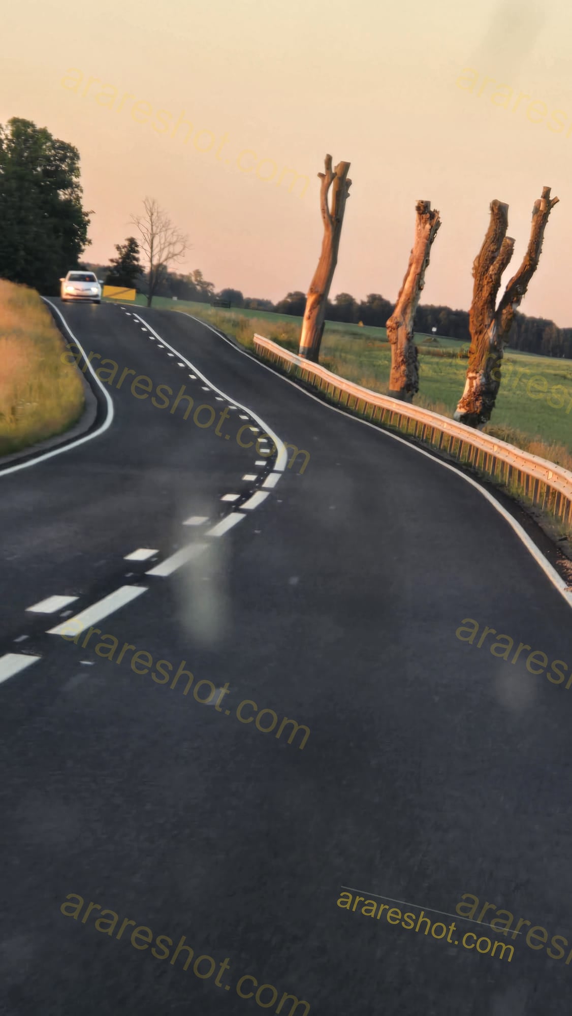 Curved Road with Trees and Guardrail