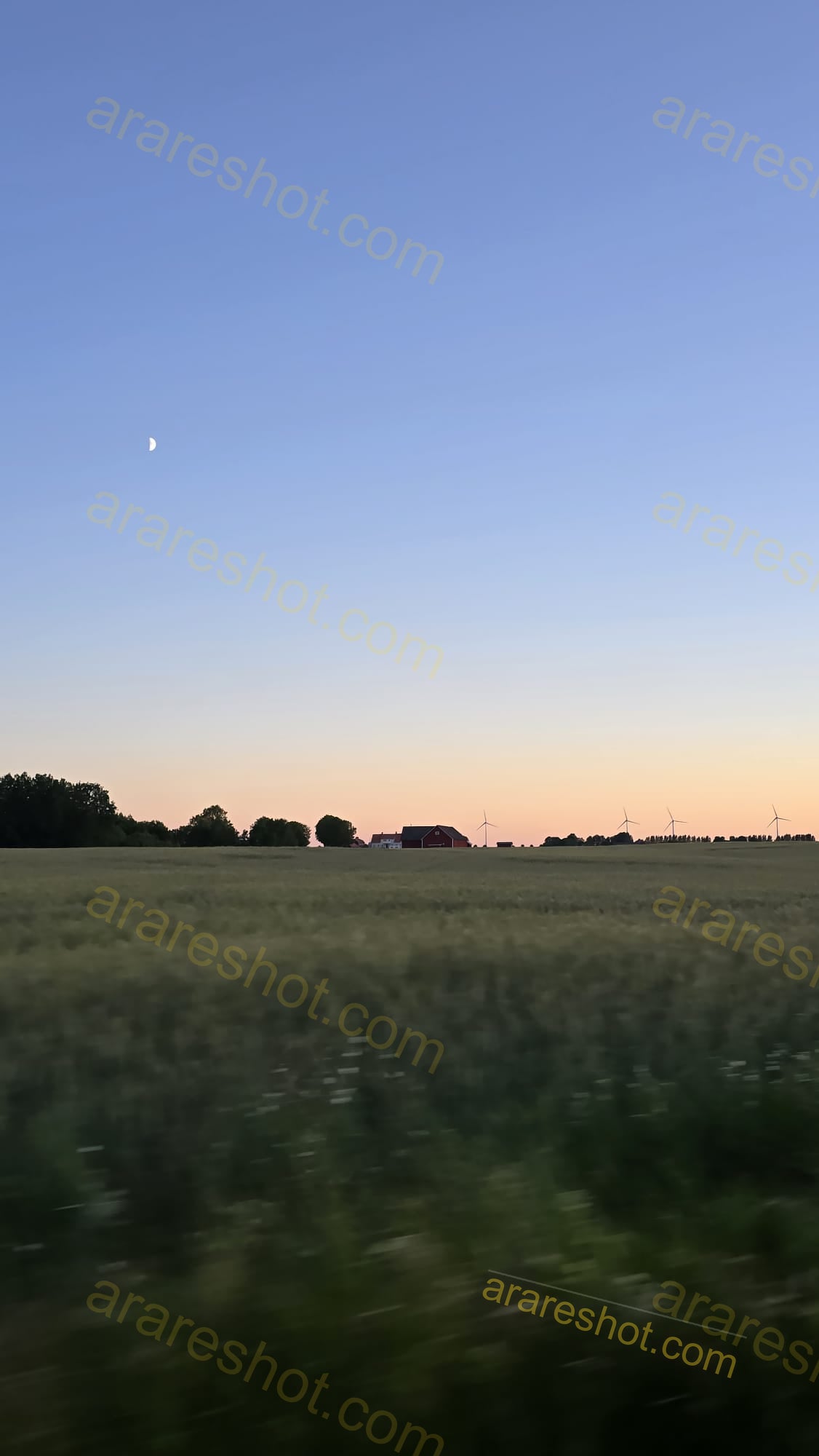 Field with houses and wind turbines at sunset