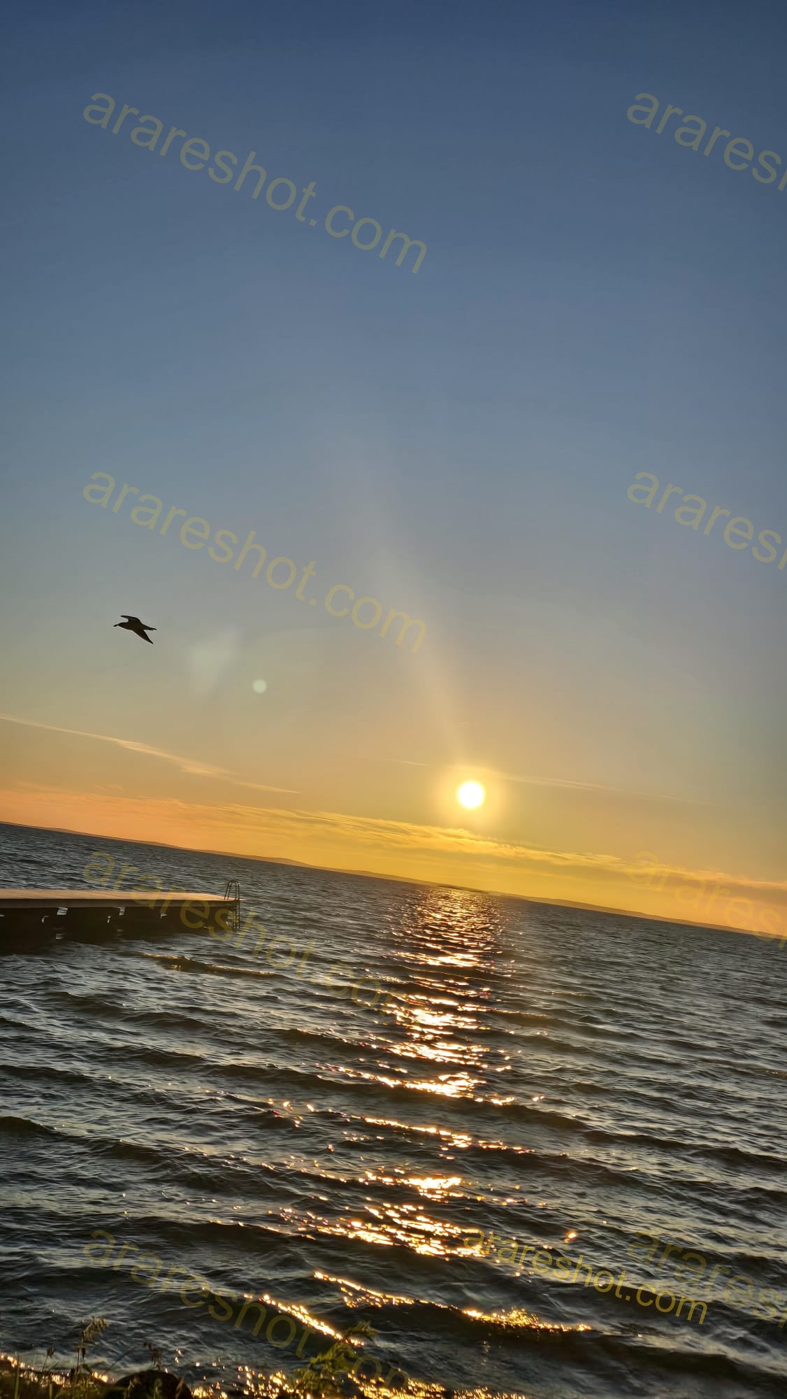 Sunset Over Lake with Pier and Flying Bird