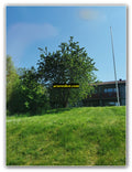 Green Hill with Tree and Flagpole