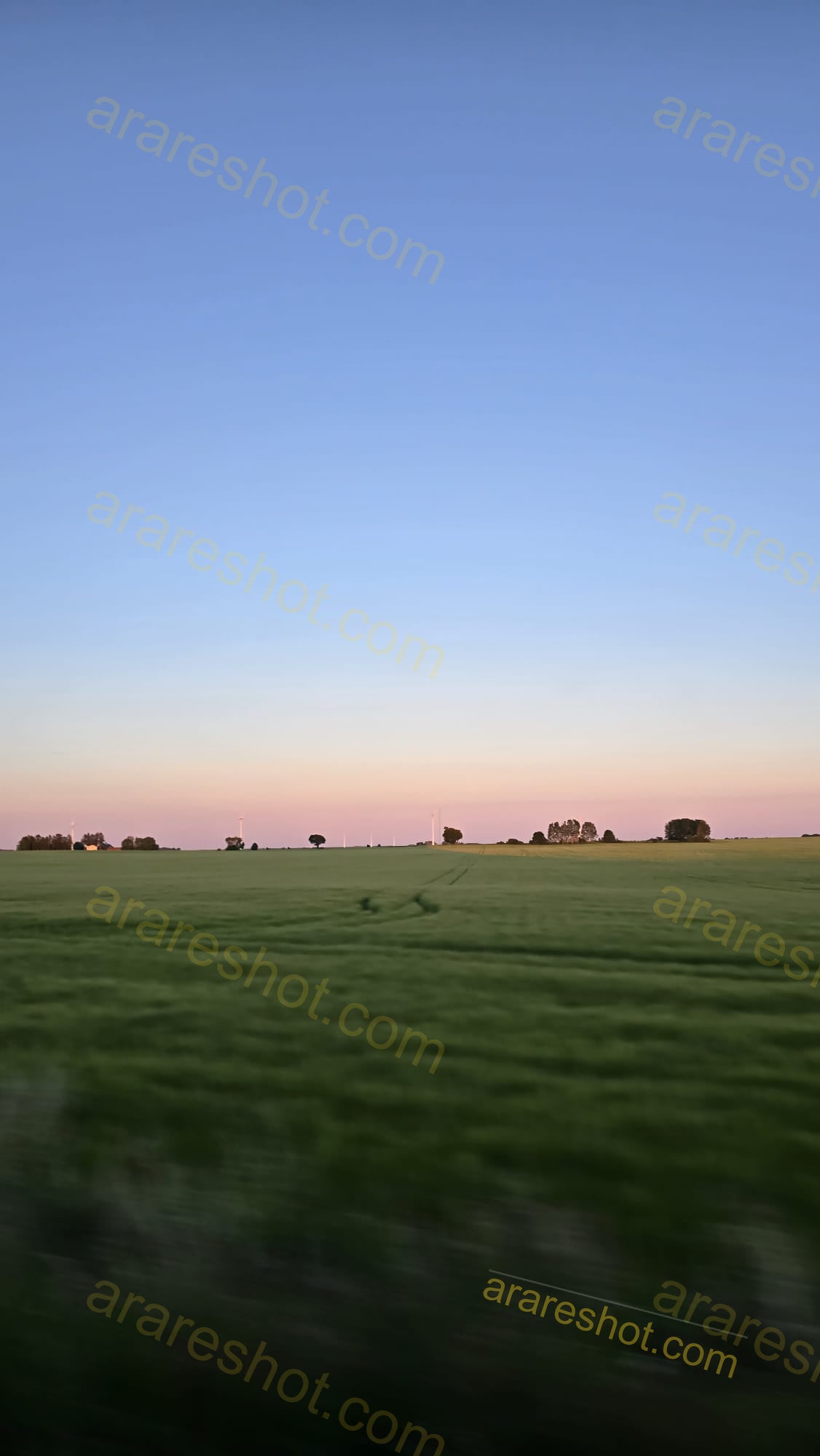 Green Field with Trees and Wind Turbines under Clear Sky