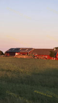 Red Farm Buildings with Green Field