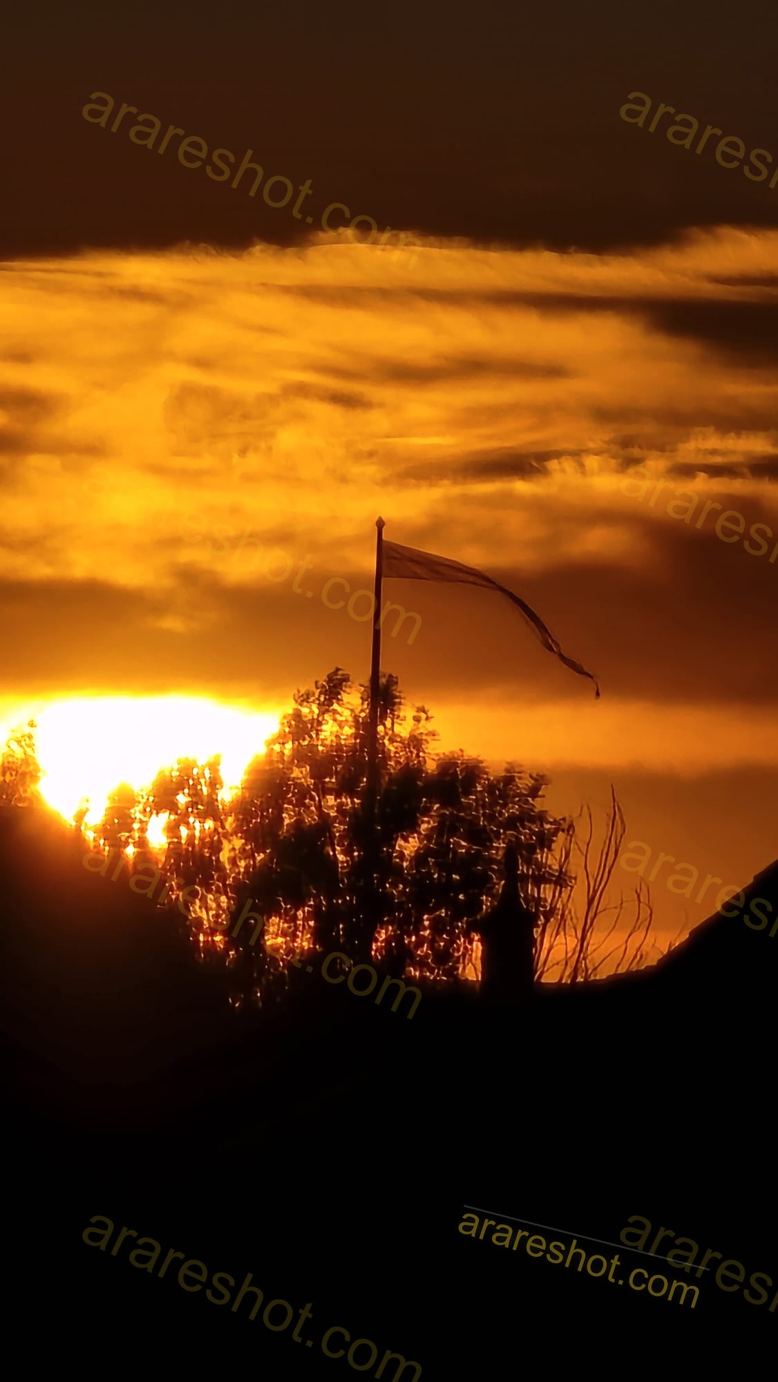 Flag on Pole with Trees at Sunset