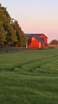 Red Barn Near Green Field and Trees