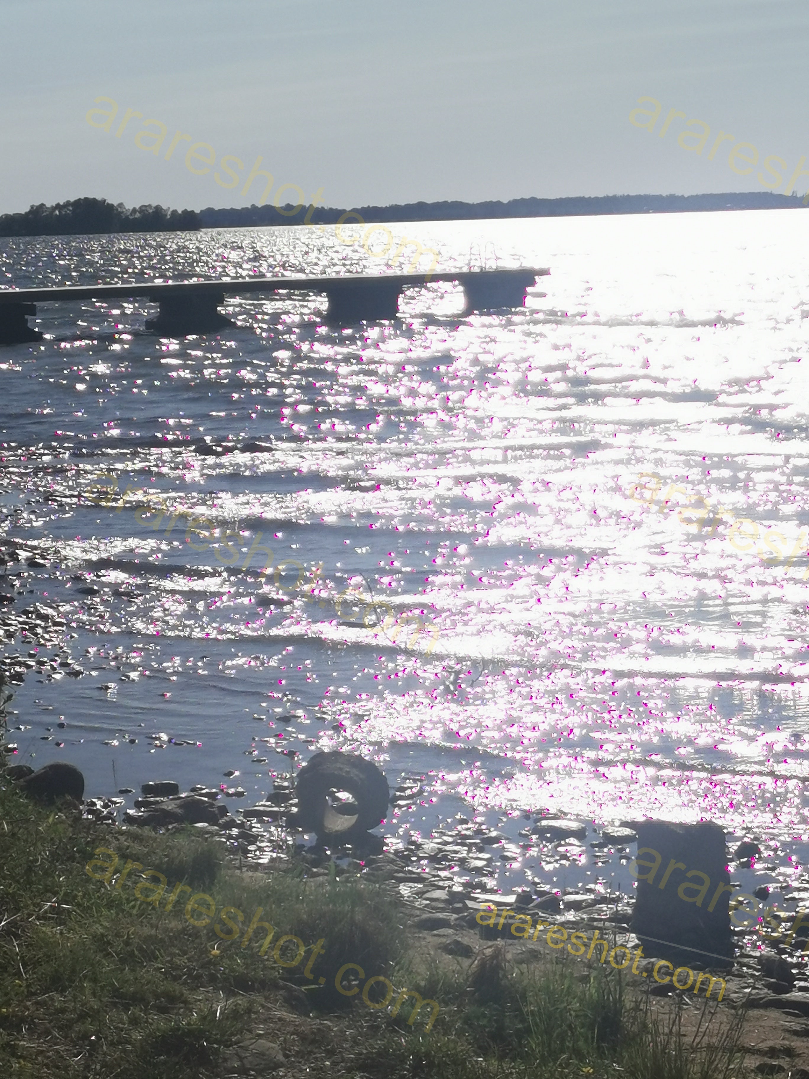 Pier on a Shimmering Lake Shore