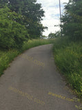Scenic Winding Pathway Surrounded by Lush Greenery