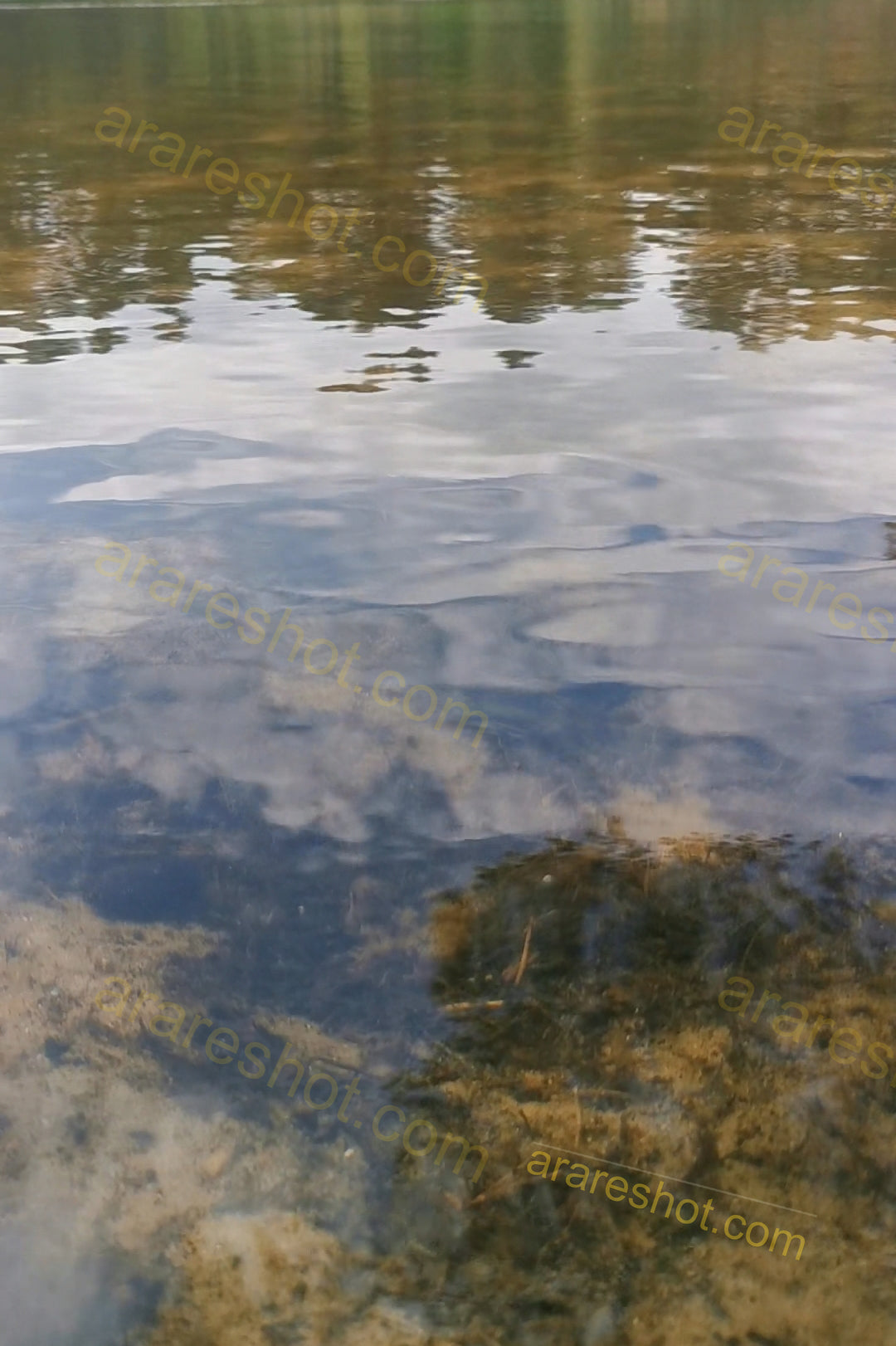 Clear water with rocky bottom and reflections